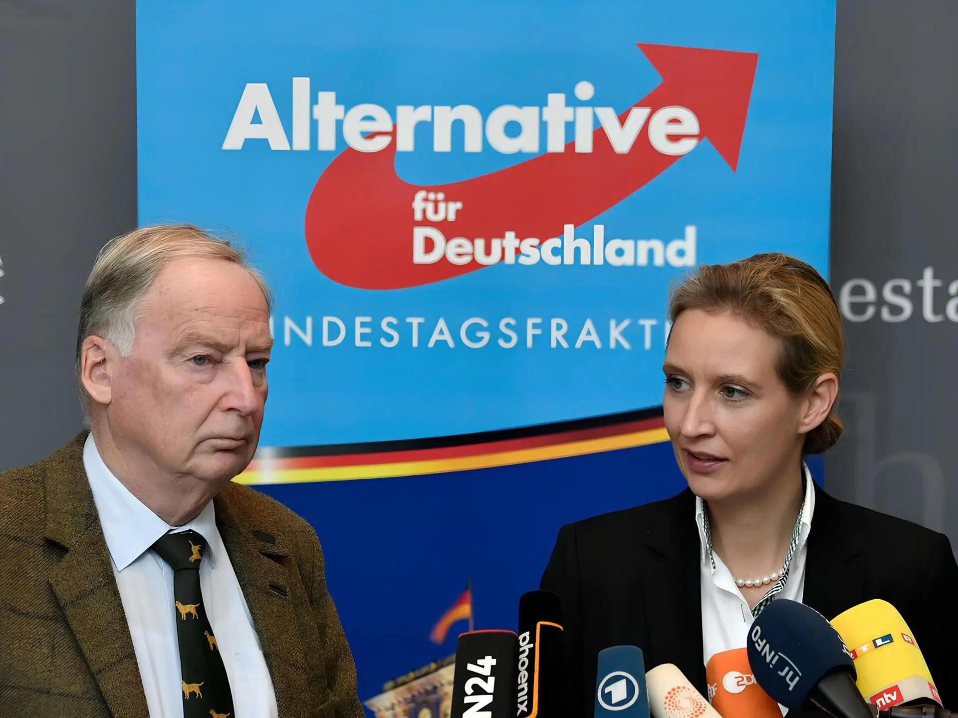 AfD Başkanı: 